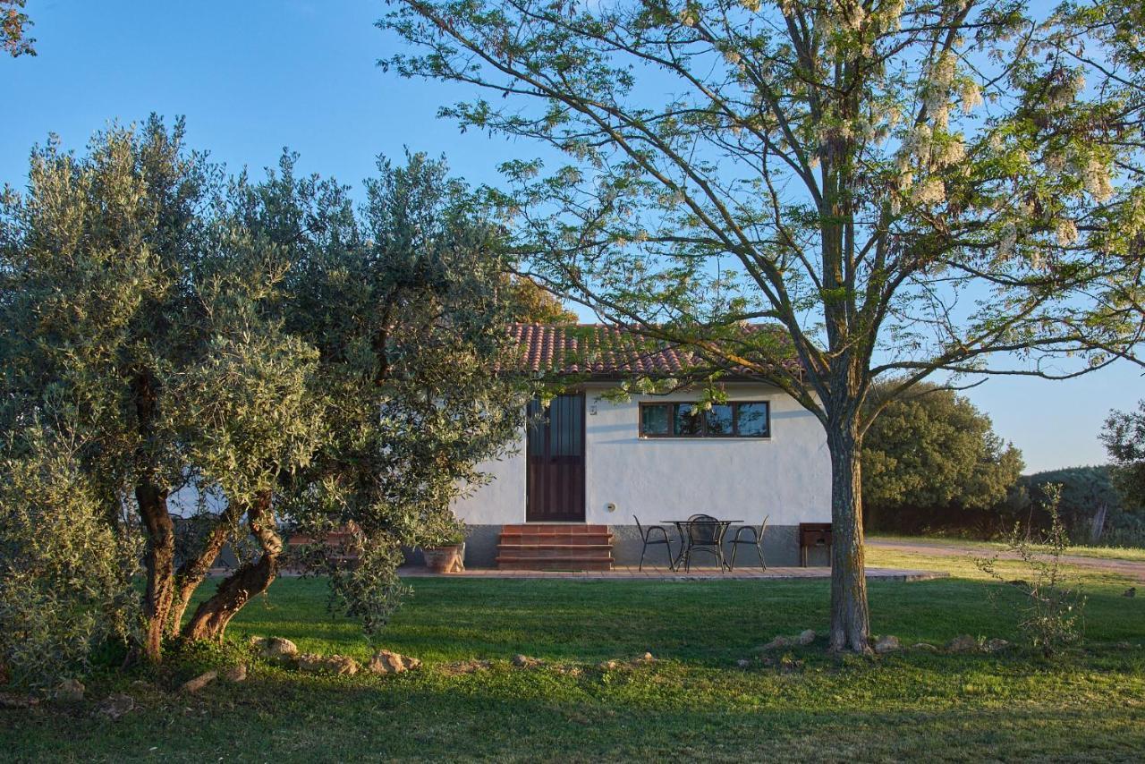 Agriturismo Tesorino Massa Marittima Luaran gambar