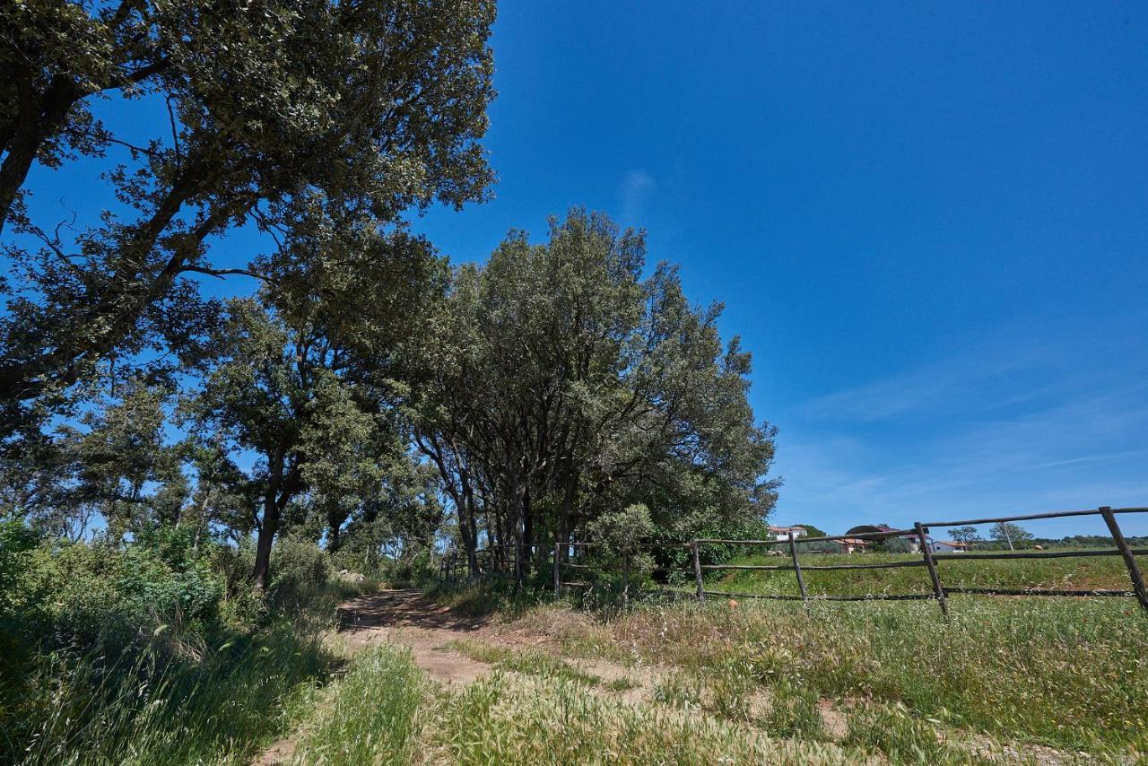 Agriturismo Tesorino Massa Marittima Luaran gambar