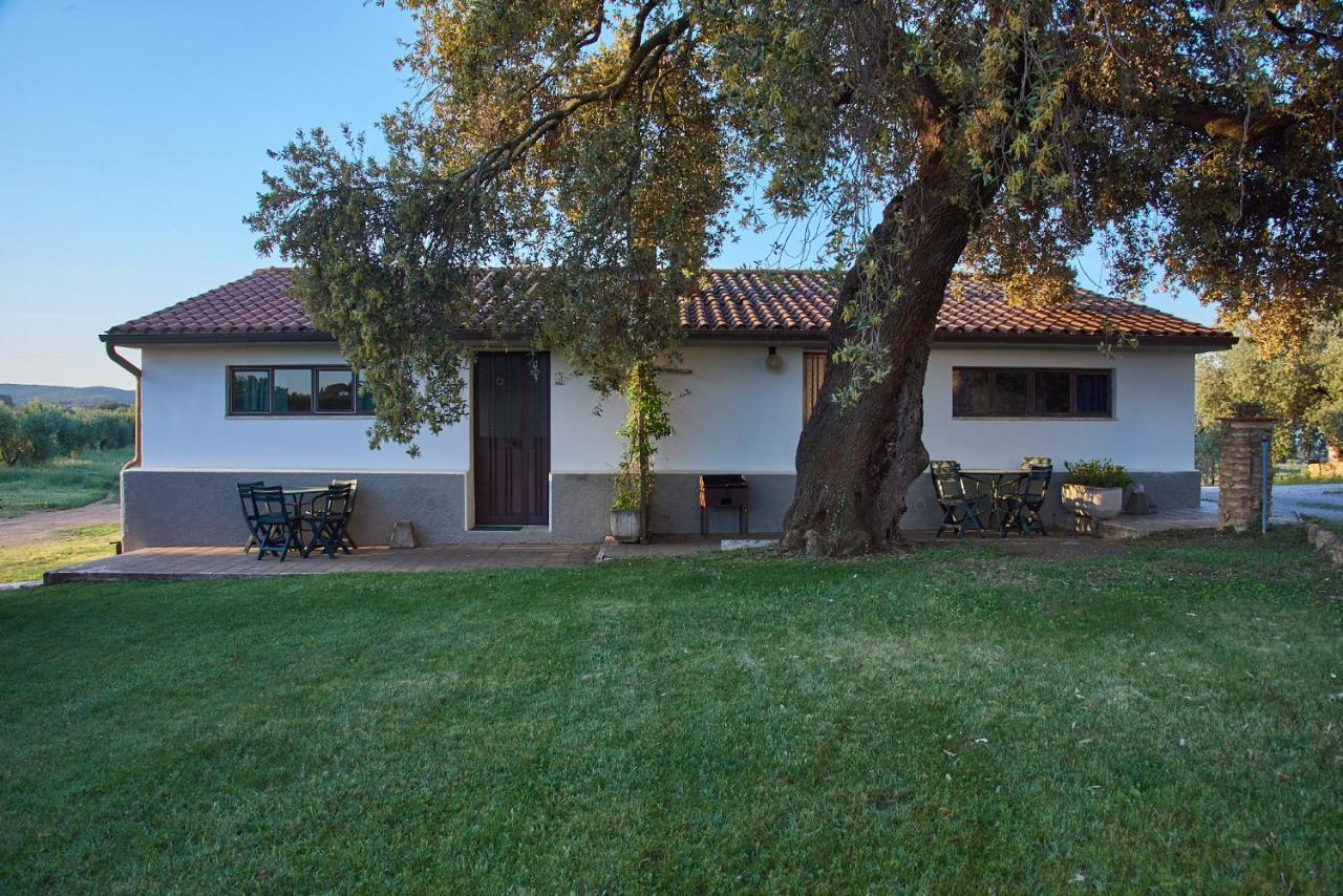 Agriturismo Tesorino Massa Marittima Luaran gambar