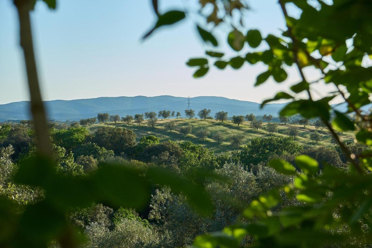 Agriturismo Tesorino Massa Marittima Luaran gambar